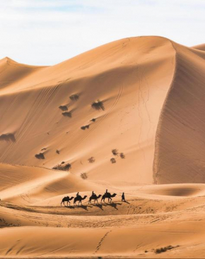 Your berber camp